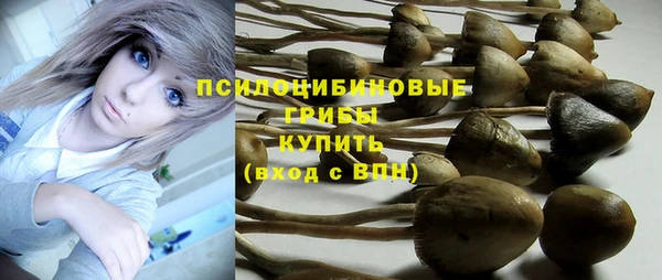альфа пвп Арсеньев